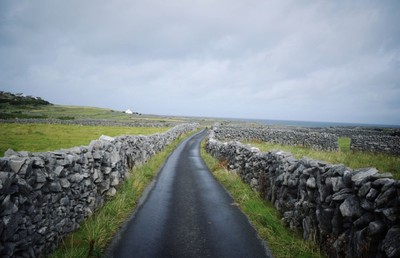 John Connell: Nature Writing